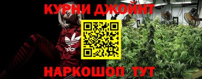 стаф Донской