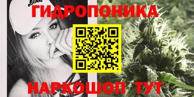 дмт Донецк