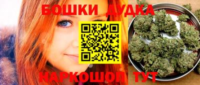 стаф Донской
