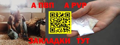 стаф Донской