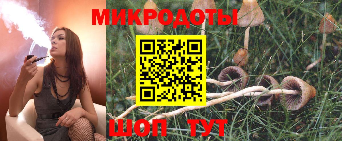 Галлюциногенные грибы прущие грибы Луга